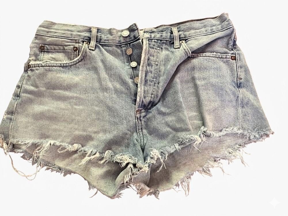 AGOLDE Parker Vintage Cutoff Denim Shorts 28 High Waisted Coastal Cowgirl Boho